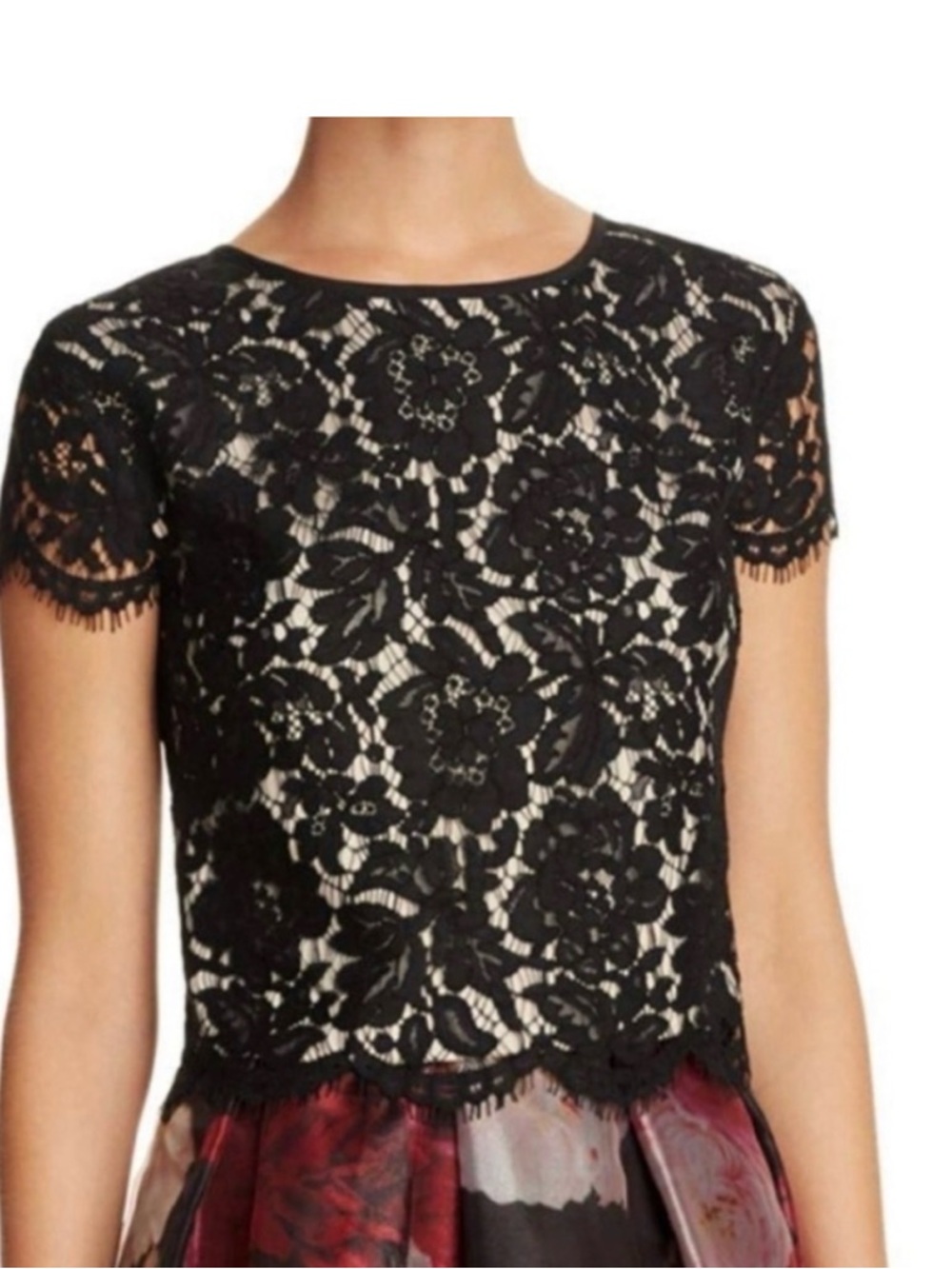 Eliza J Black Floral Lace Cropped Top – Elegant Evening Wear